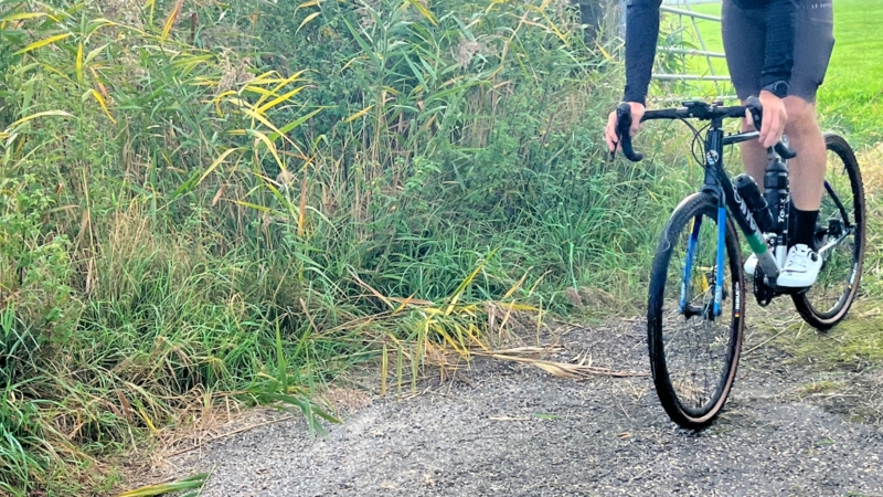 Sfeerimpressie Gravelrit 70 km 2024