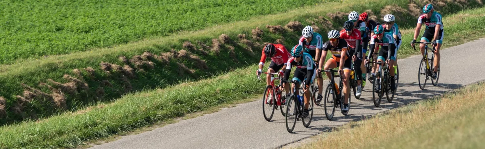 Langs de dijk